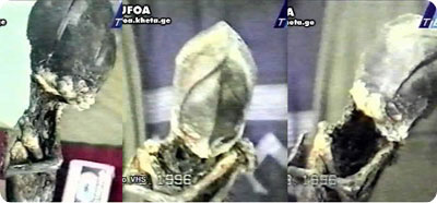 aleshenka_detail1.jpg