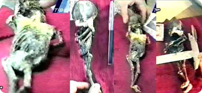 aleshenka_detail2.jpg