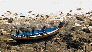 andaman_sentinelese1.jpg