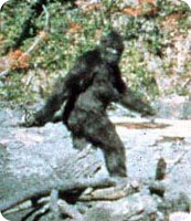 bigfoot_hoax2.jpg