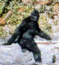 bigfoot_yeti.jpg