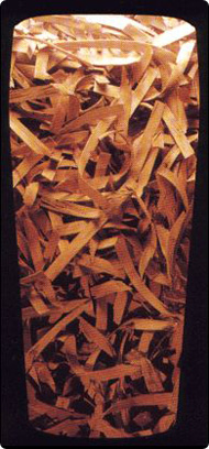 bud1.jpg