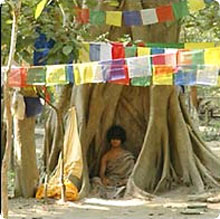 buddha_boy2.jpg