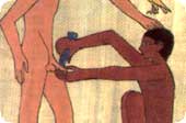 egypt_circum.jpg