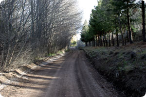 estancia3.jpg