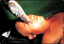 fish_boy_dead3.jpg