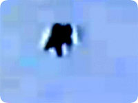 flying_humanoid