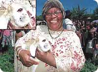 goat_oneeye.jpg