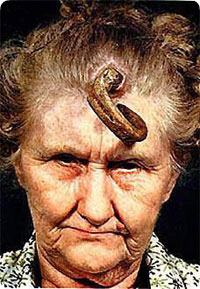 horn_mama1.jpg