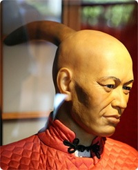 horn_wan.jpg