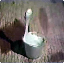 /x/images2005/hutchison000.jpg