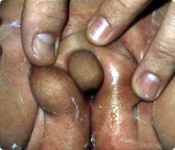 inter_sex7.jpg