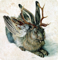 jackalope_rabbit4.jpg
