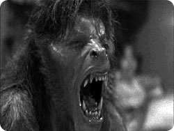 lycanthropy_wolf2.jpg