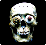 /x/images2005/mayan_skull.jpg