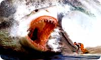 megalodon.jpg