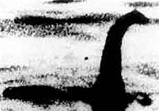 nessie_elephant2.jpg