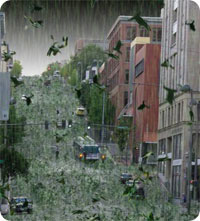 rain_fish2