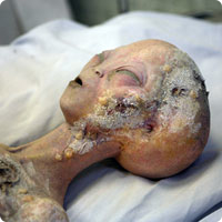 /x/images2005/roswell1.jpg
