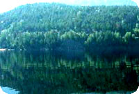 seljord_monster3