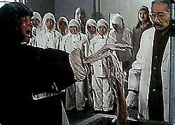 sfilm10.jpg