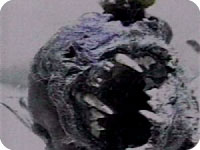 texas_chupacabra2