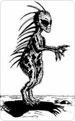 texas_chupacabra3