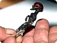 tiny_mummy1.jpg