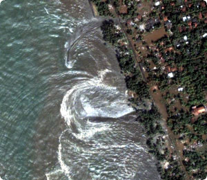 tsunami_dragon.jpg