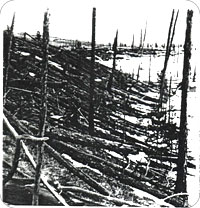 tunguska_meteor.jpg