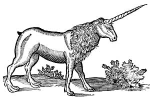 unicorn_7.jpg