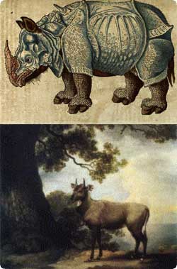 unicorn_9.jpg