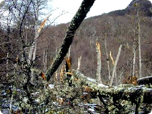 ushuaia3.jpg
