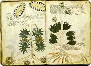 voynich_part32