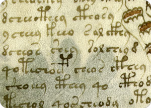 voynich_part33