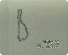 worm_ufo2.jpg