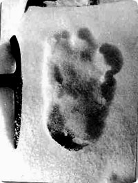yeti_foot.jpg