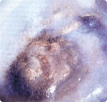 /x/images2005/yeti_iceman.jpg